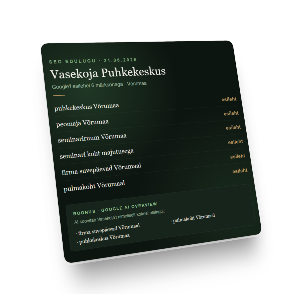 vasekoja kodulehe SEO Vasekoja SEO tulemuste kokkuvõte